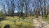 IMG_4389 (FILEminimizer).jpeg